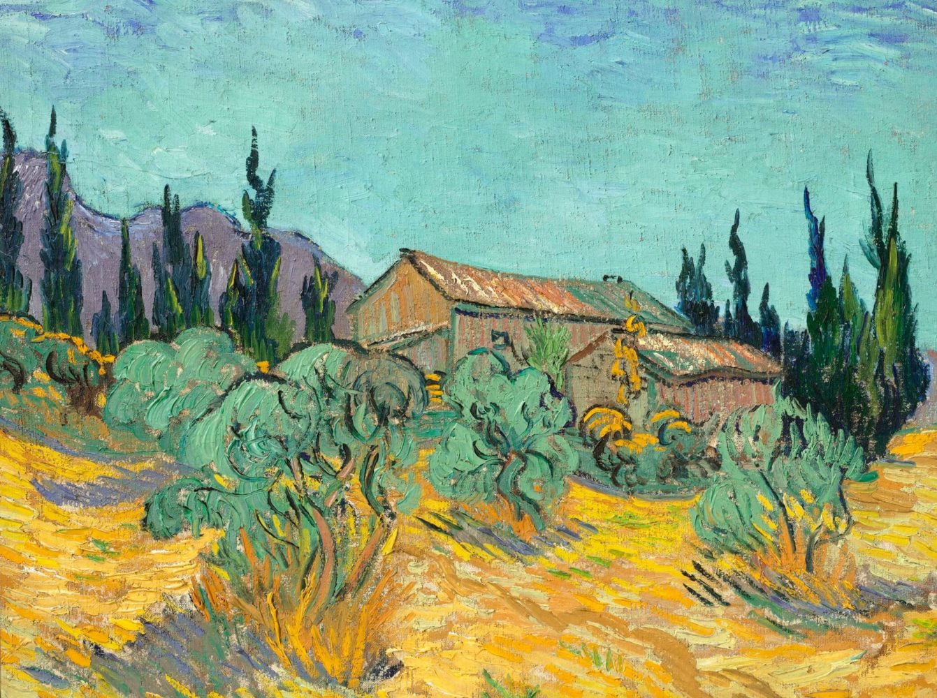 Vincent Van Gogh - Cabanes de bois parmi les oliviers et cyprès.